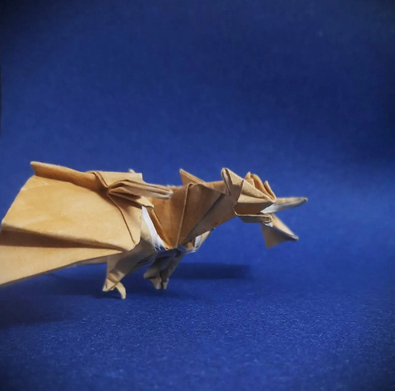 wyvern.v2